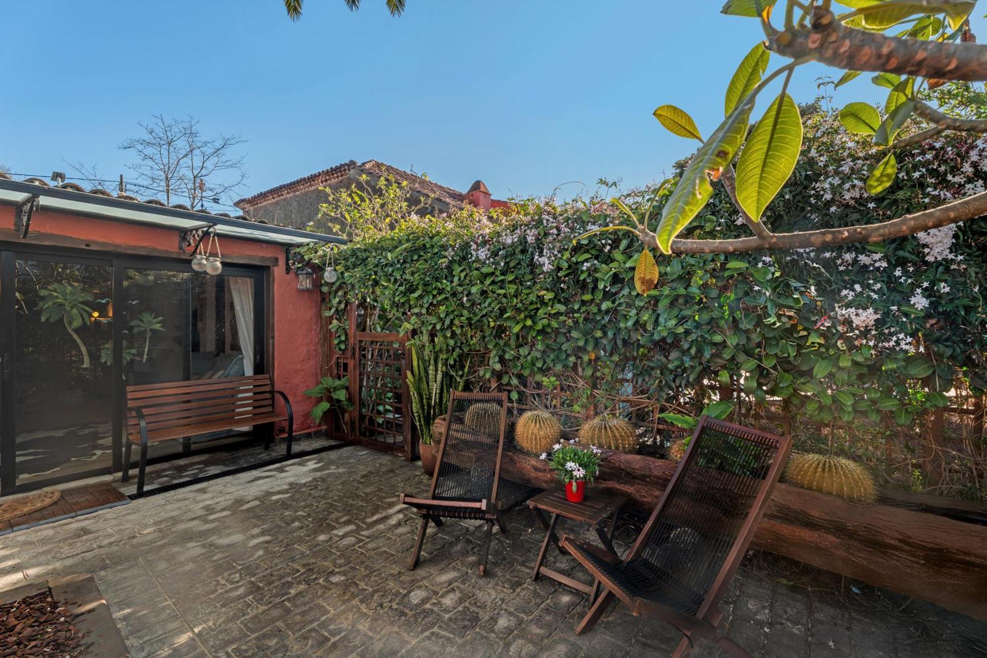 Casa Palmera - Private Paradise Tacoronte Ngoại thất bức ảnh