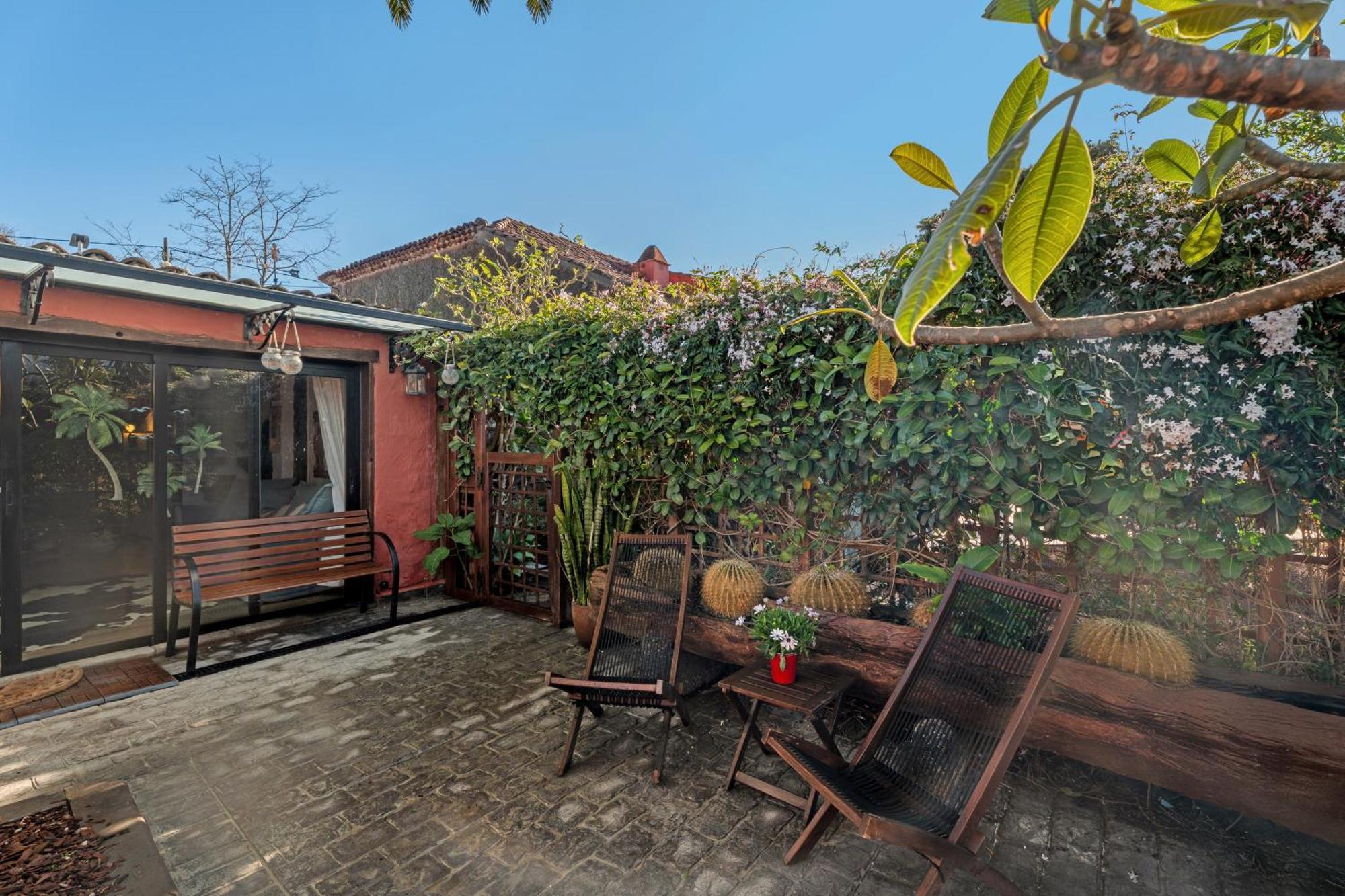 Casa Palmera - Private Paradise Tacoronte Ngoại thất bức ảnh